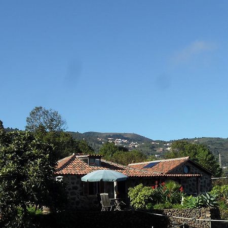 Finca Cueva Del Viento Icod De Los Vinos Værelse billede