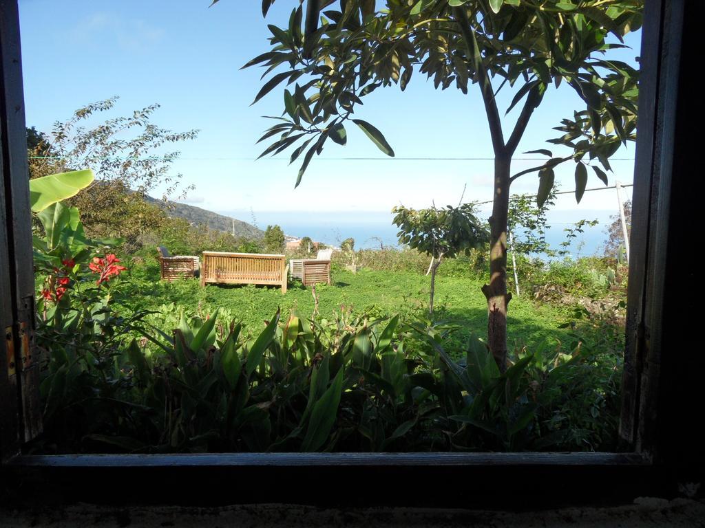 Finca Cueva Del Viento Icod De Los Vinos Værelse billede