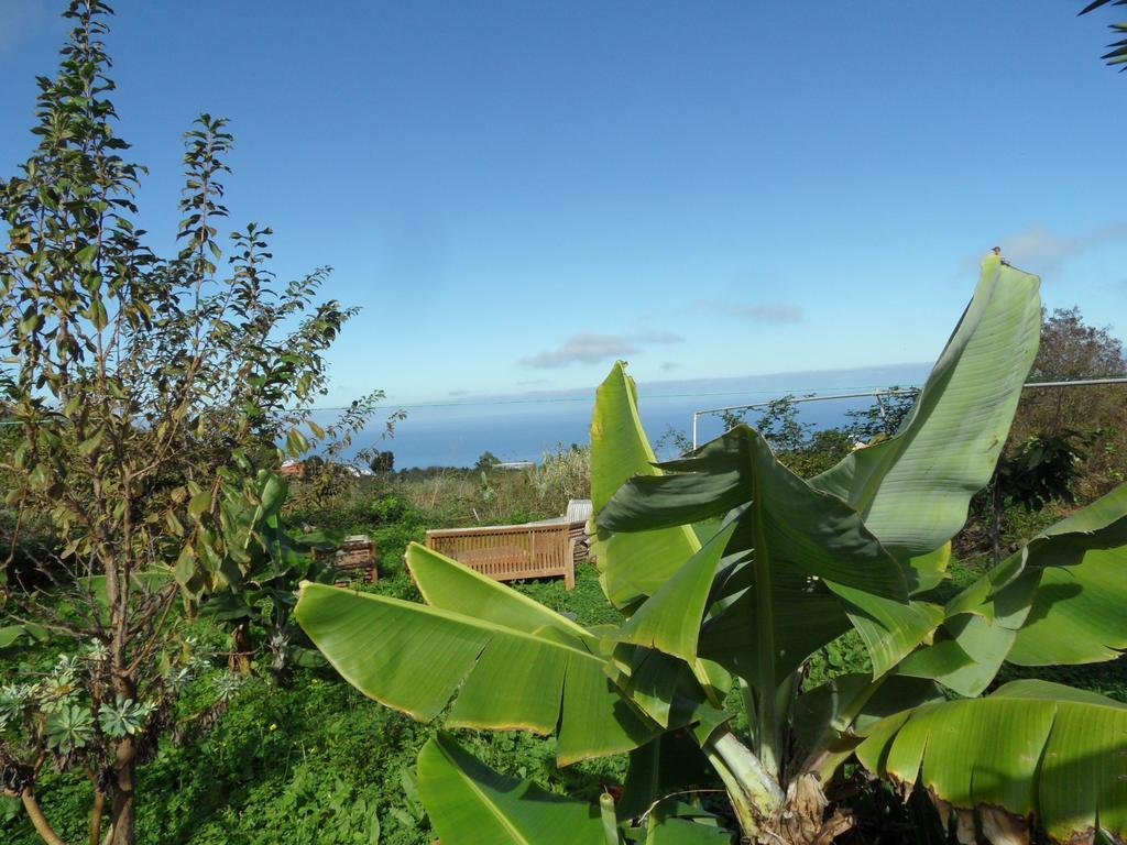 Finca Cueva Del Viento Icod De Los Vinos Værelse billede