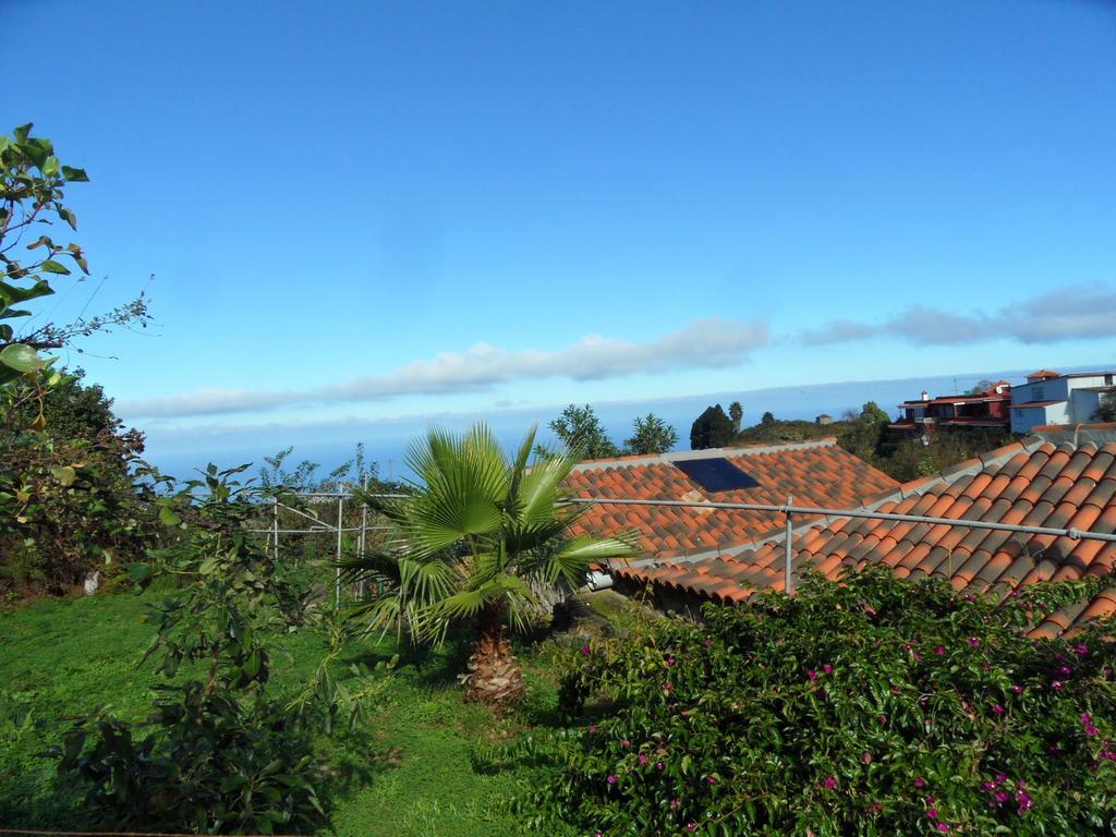 Finca Cueva Del Viento Icod De Los Vinos Værelse billede